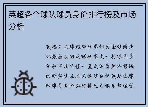 英超各个球队球员身价排行榜及市场分析