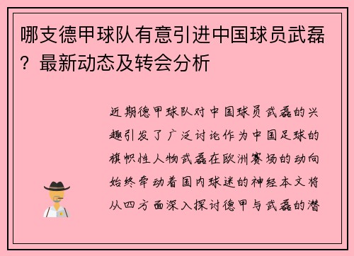 哪支德甲球队有意引进中国球员武磊？最新动态及转会分析